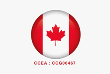 Canada Course for Education Agents expert immigration consultant study visa canada